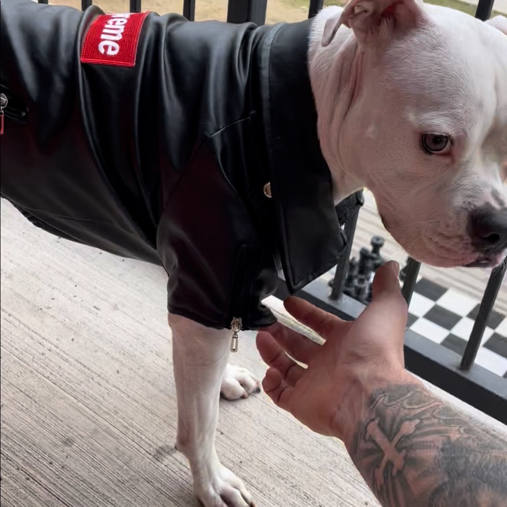 Dog clothes leather dog jacket SUPREME brand